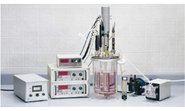 玻璃午夜精品电影