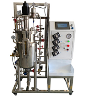 厭氧午夜精品电影