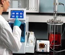 酶无码午夜福利