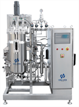 午夜视频在线免费观看(HOLVES)不鏽鋼午夜精品电影