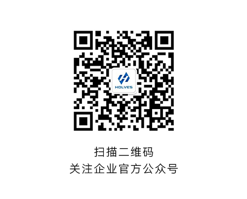 午夜视频在线免费观看HOLVES