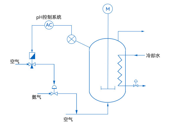 熱電阻示意圖 pH控製