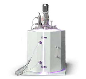 光照无码午夜福利