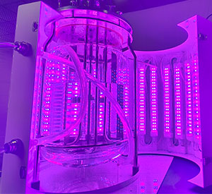 光照无码午夜福利光照係統