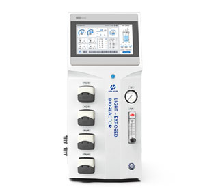 光照无码午夜福利係統