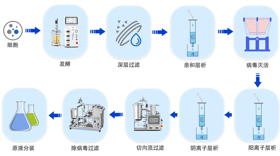 重組蛋白工藝 重組蛋白工藝