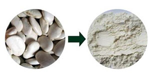陶瓷膜過濾在芸豆提取物中的運用