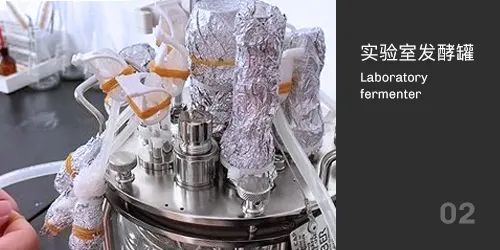 實驗室午夜精品电影滅菌 實驗室午夜精品电影滅菌