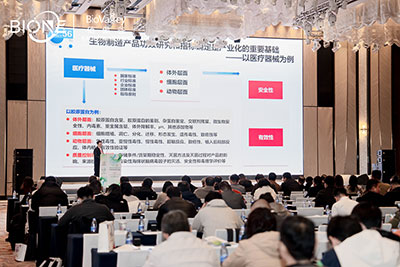 峰會會議現場圖2